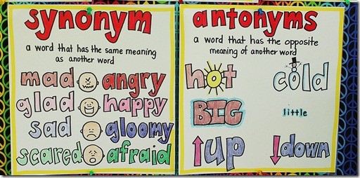 Synonyms and Antonyms
