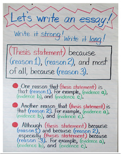writing an opinion paragraph